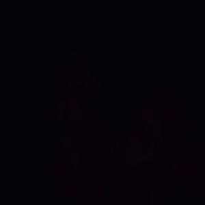 Meet your Posher, Holt